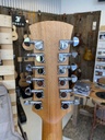 Faith Naked Venus 12 string + fishman pick-up