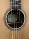 Kremona F10CE met Fishman pick-up