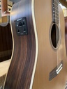 Kremona F10CE met Fishman pick-up