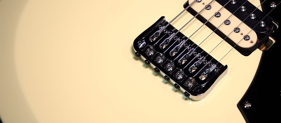 Shergold Provocateur Standard ST12DB 