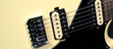 Shergold Provocateur Standard ST12DB 