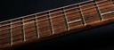 Shergold Provocateur Standard ST12DB 