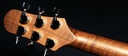 Shergold Provocateur Standard ST12DB 