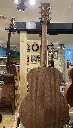 fullsizeoutput_1409.webp