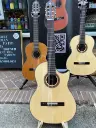 Sulayr Lattice cutaway (Spruce)