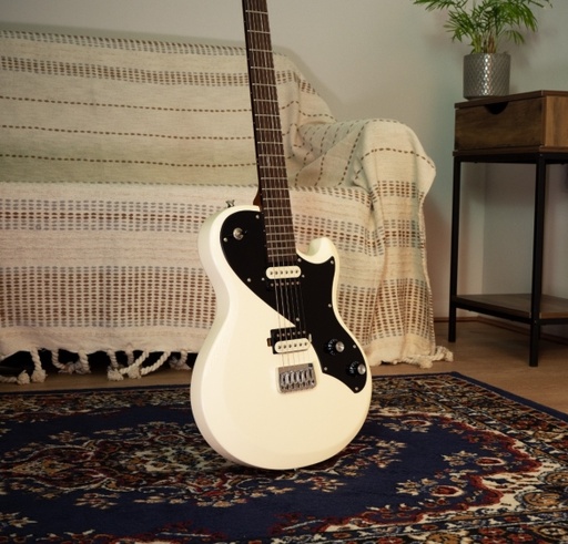 Shergold Provocateur Standard ST12DB 
