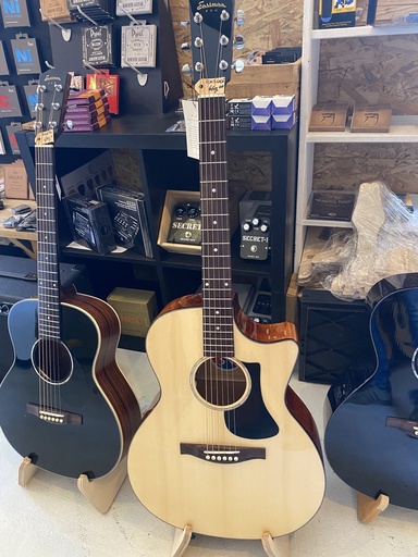 Eastman PCH3-GACE 
