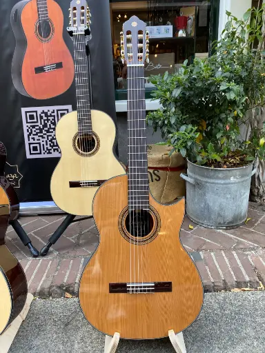 Sulayr Lattice cutaway